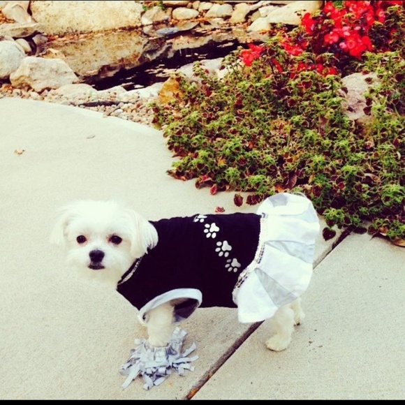 Costumes - Picture 2 of 8